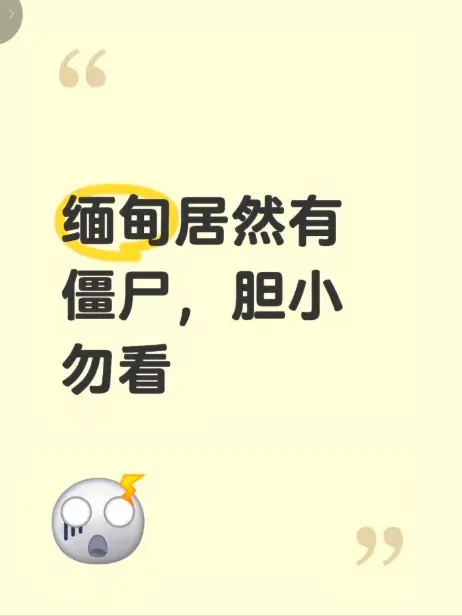《缅甸僵尸出土事件》高清完整版在线播放 - 揭秘缅北神秘事件真相现场录像 - 无删减免费观看