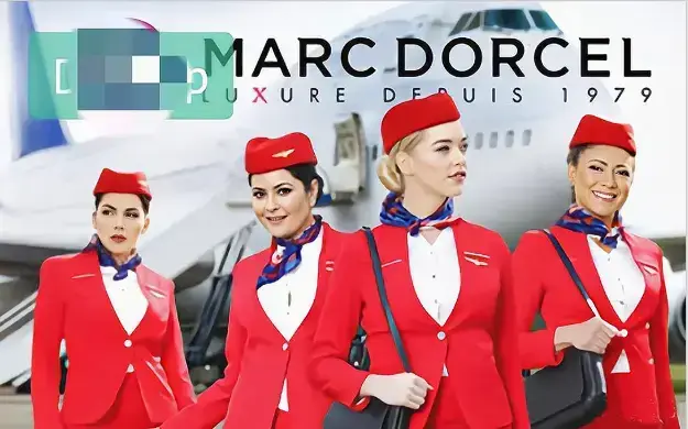 《法国空姐4》相关资源图片
