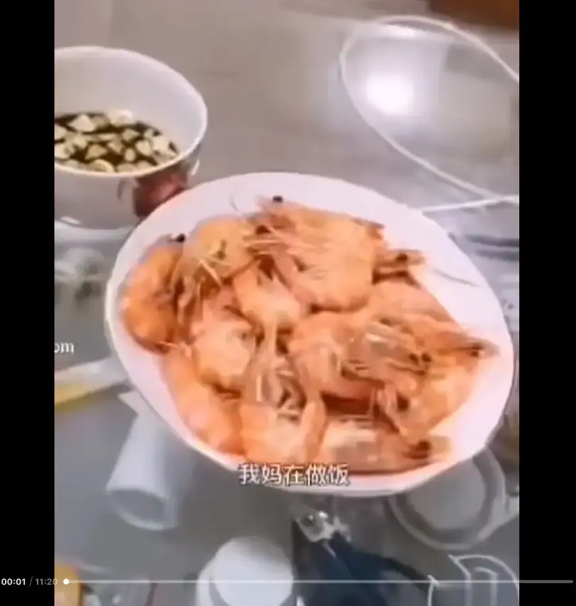 《大虾母子厨房完整版》高清视频免费在线看 - 猎奇视频来龙去脉解析 - 梗的含义是什么 - 看完就明白